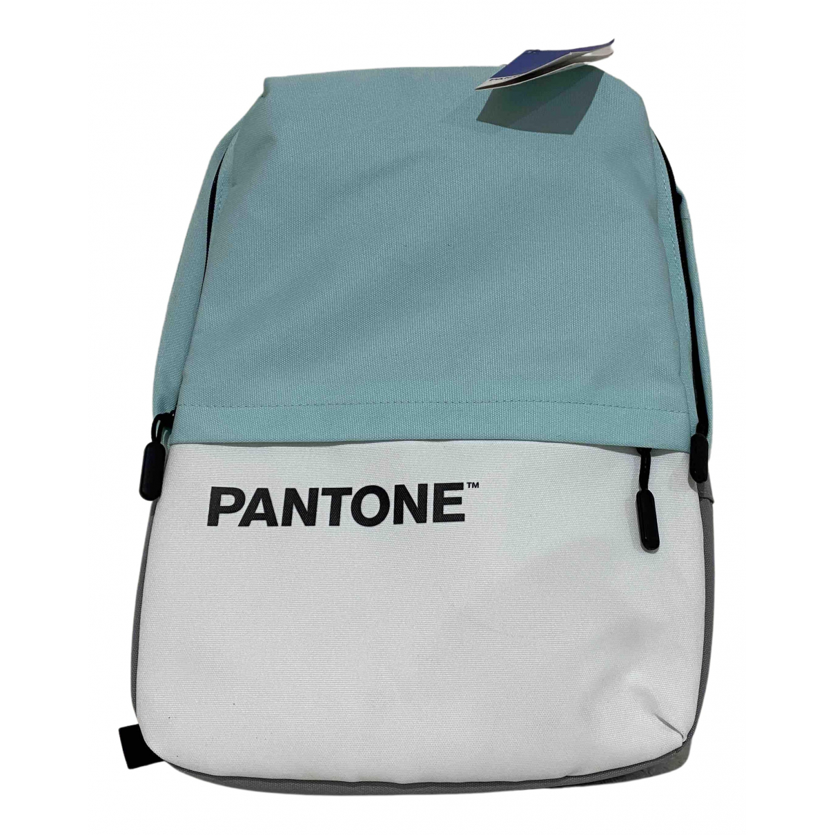 Cloth backpack Pantone Other in Cloth 